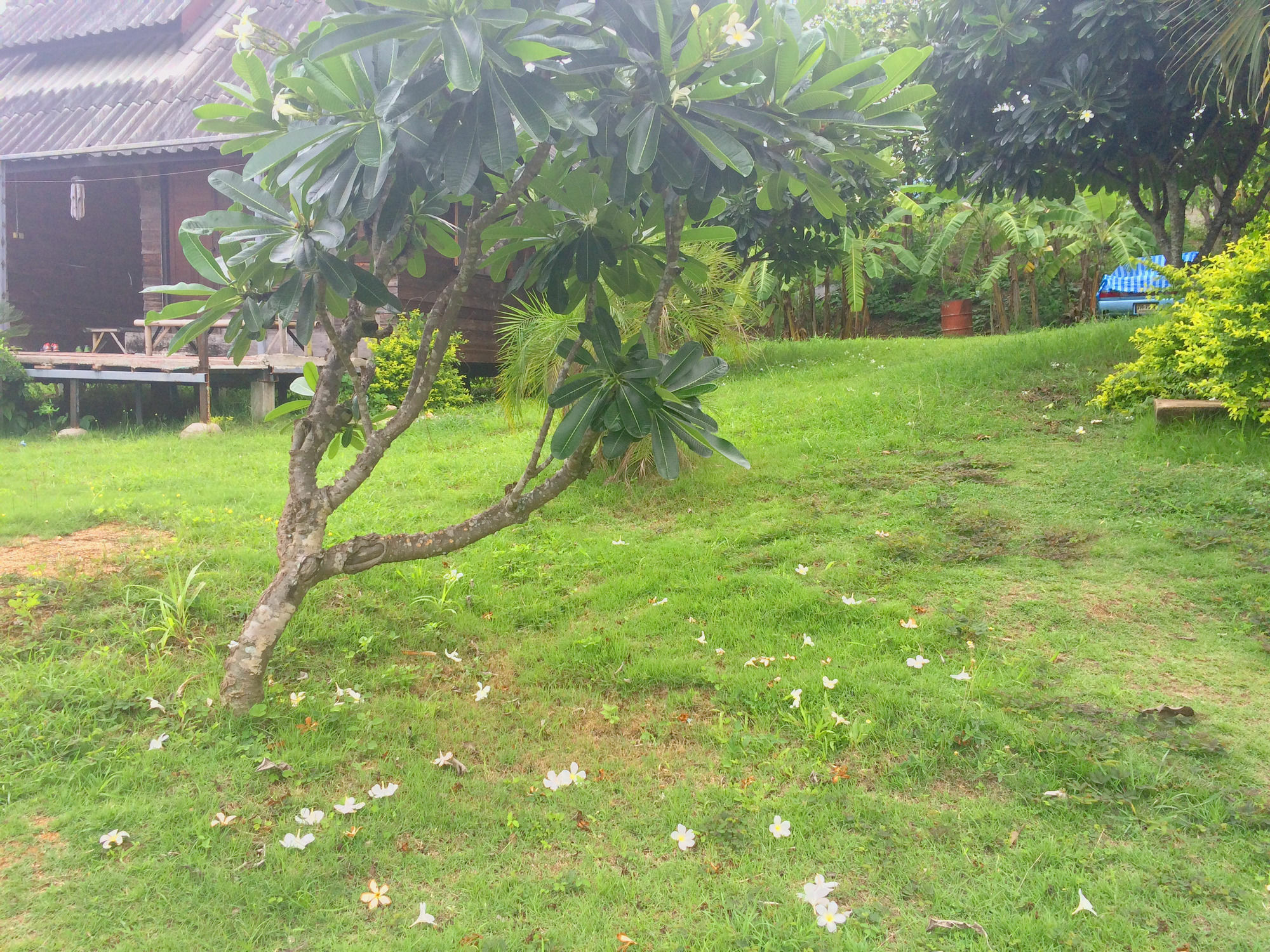 Tony Guesthouse Pai Ngoại thất bức ảnh