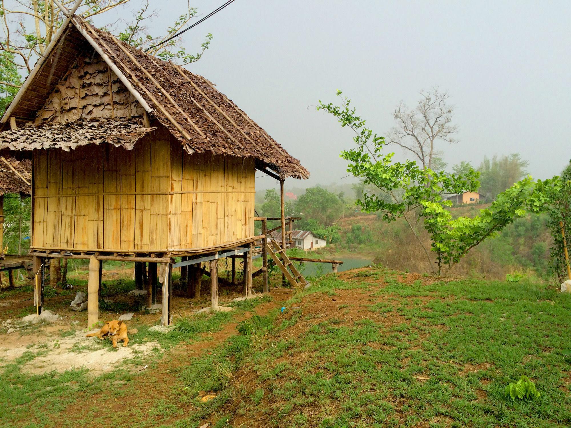 Tony Guesthouse Pai Ngoại thất bức ảnh